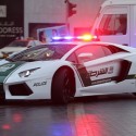 Lamborghinis and Camels, on Patrol